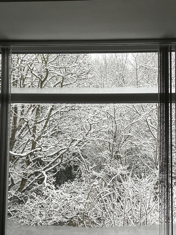 EEE82113-20CC-44AE-A362-8FDF28D071D3