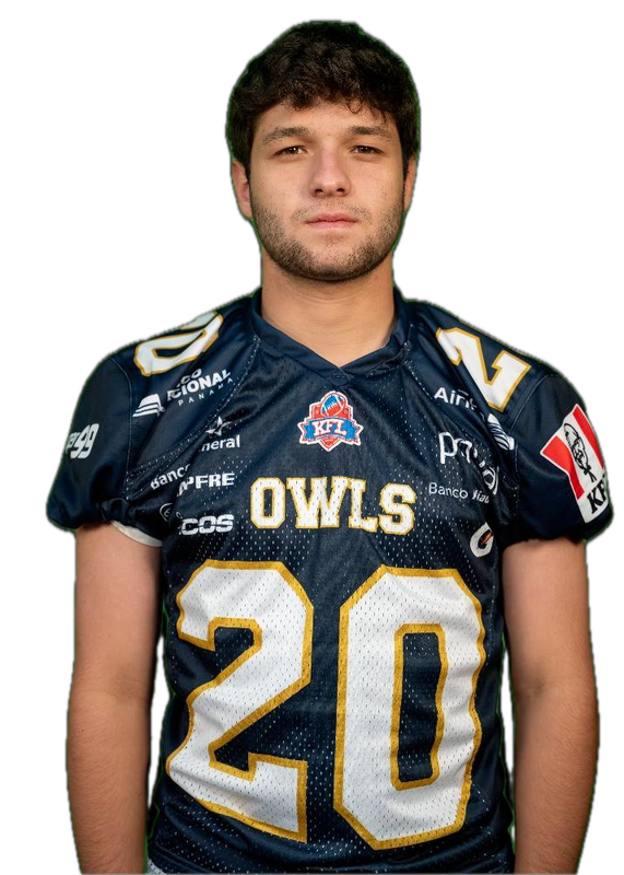 Owls 20 Background Removed