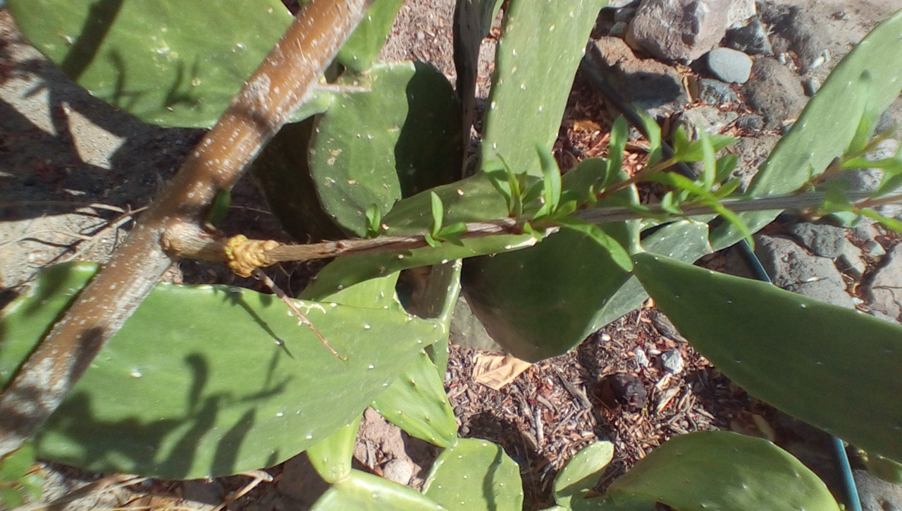 IMG_20170913_1631440_rewind