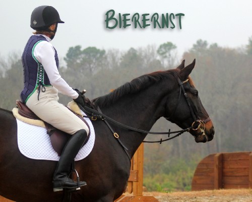bierernst