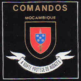 BCmdsM
