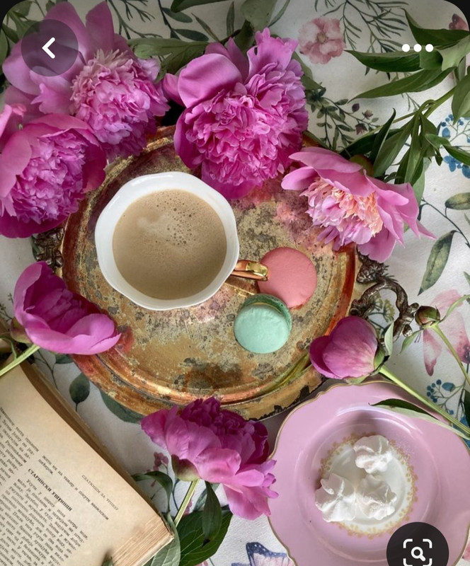 Screenshot_20230528_210812_Pinterest