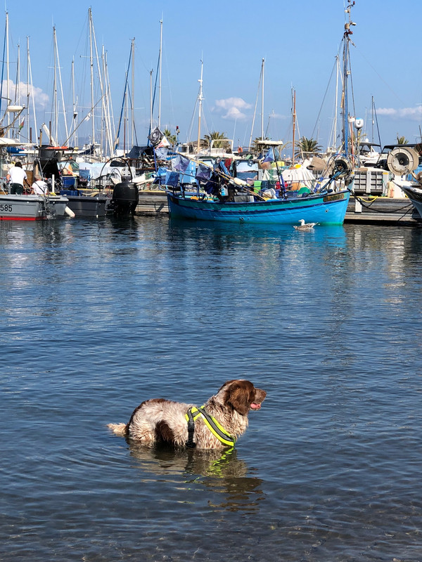 4B8CAC8D-29EA-4635-8C8E-3EDBD9798E1B