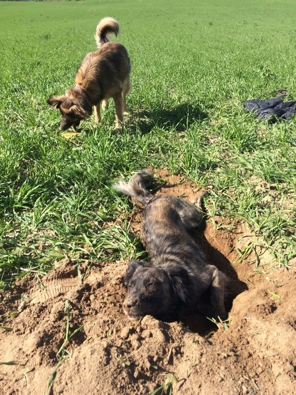 D833A2C1-3677-43EF-8BBB-A1B440A42E73