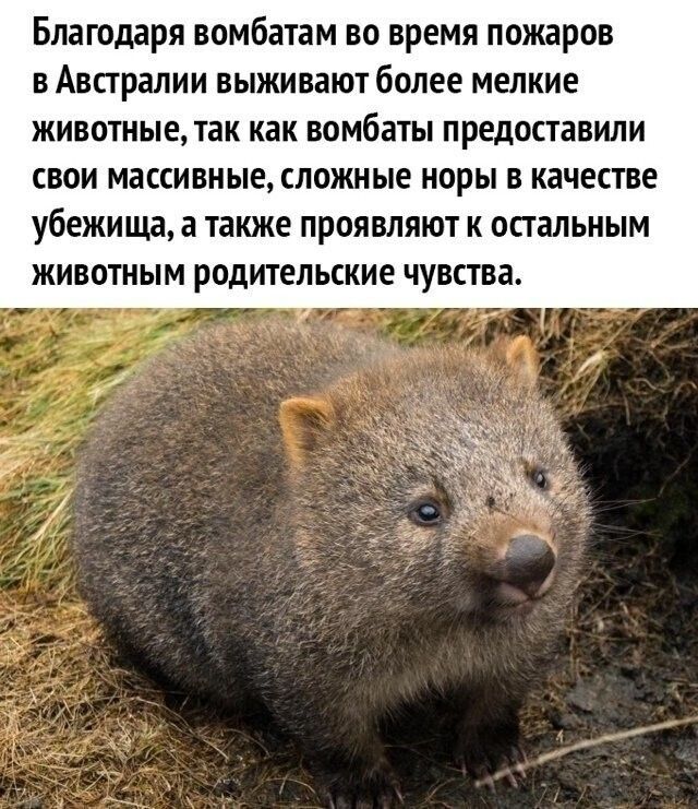 [Изображение: photo-2025-04-20-11-24-05.jpg]