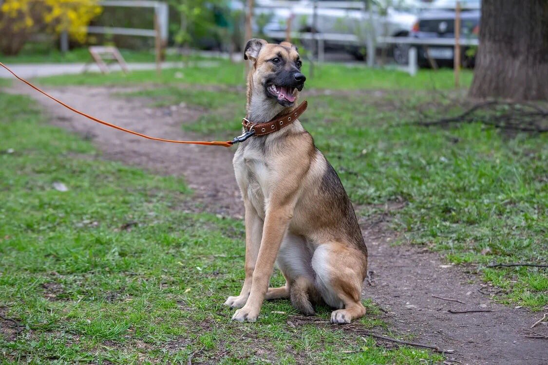 изображение_viber_2022-01-20_12-15-12-320