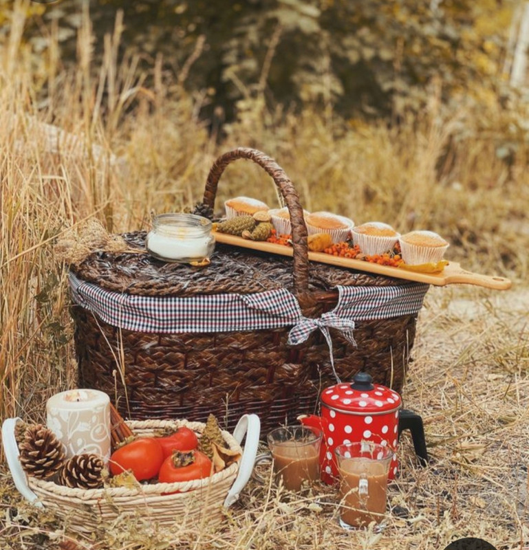 Screenshot_20231115_212158_Pinterest