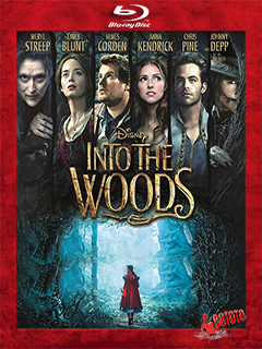 Into.the.Woods.2014.BD25.Latino