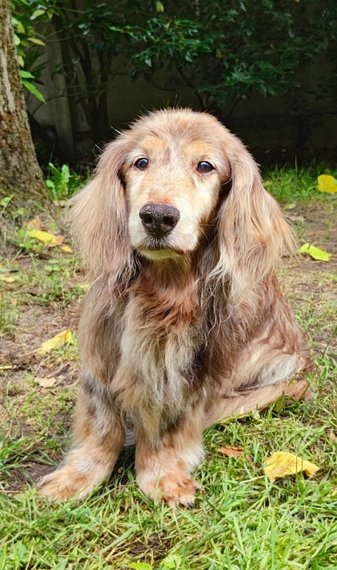 [Image: original-3de1f158-fae2-4408-a889-938b31e...-HDR-2.jpg]