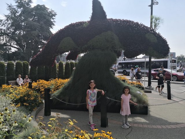 [Image: IMG-20210815-150538.jpg]