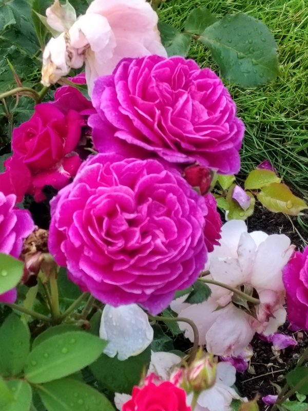 https://i.postimg.cc/xCXJnp2n/058-IMG-20230706-114707.jpg