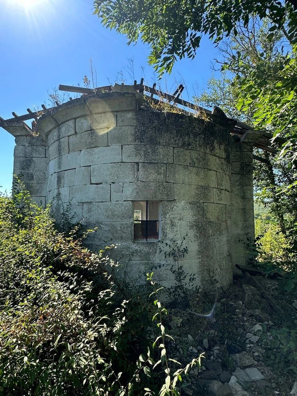 Без названия (1)