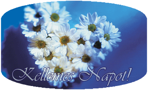 https://i.postimg.cc/xCXVDR2W/kellemes-napot.gif