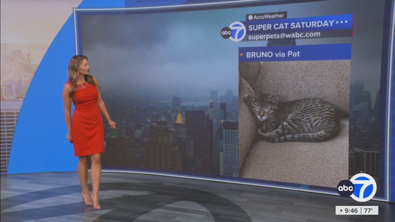 Eyewitness News This Morning_20250906_14001500.ts_snapshot_46.56.625