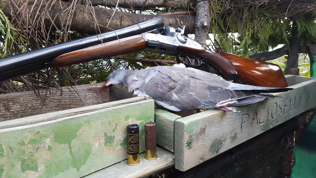 BDF758C0-C6B5-4664-9AE7-F4CFD418C1B6