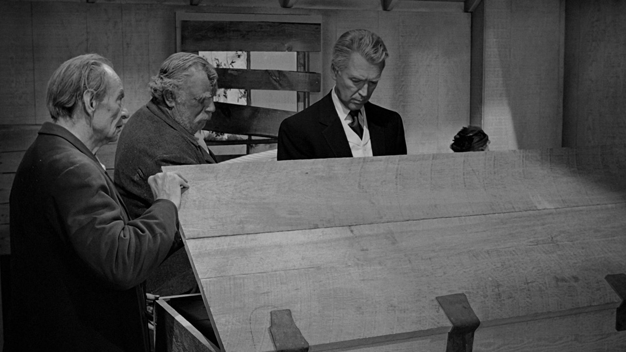 The Man Who Shot Liberty Valance (1962) (1080p BluRay x265 r00t)