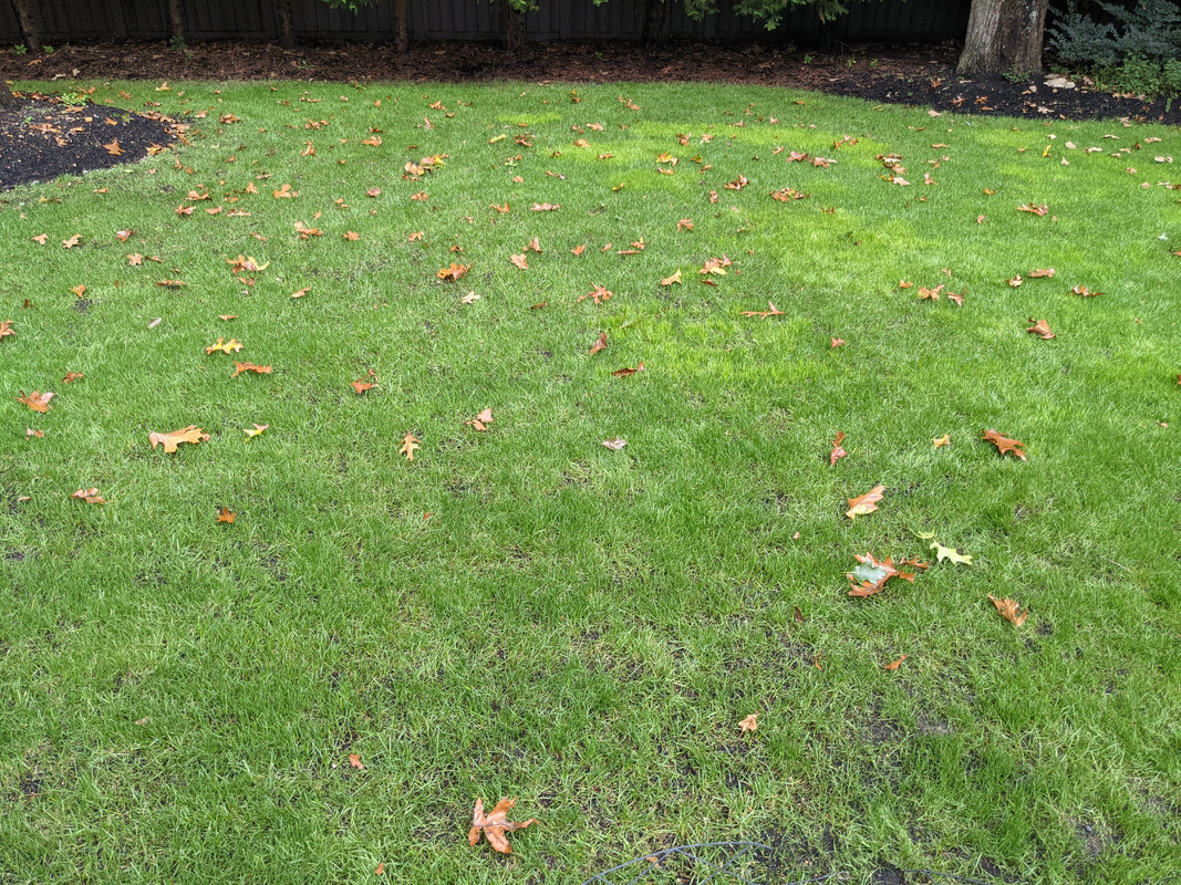 PXL_20211009_165801388.MP