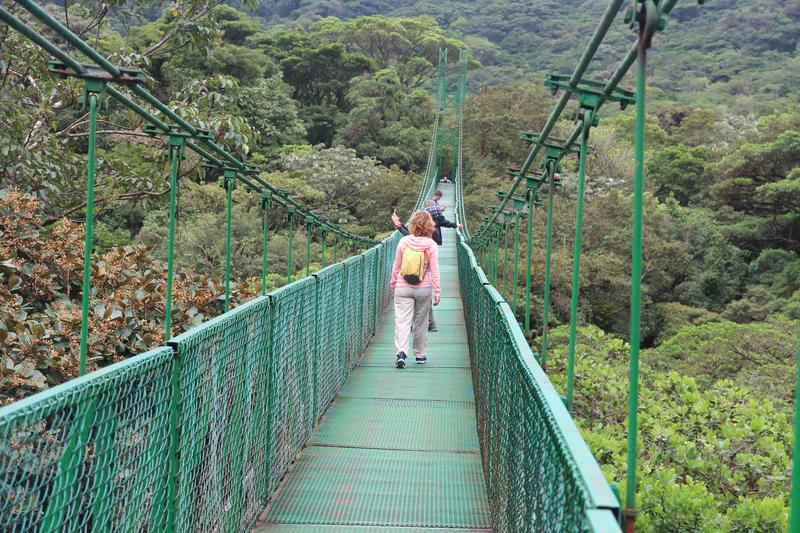 DE TORTUGAS Y PEREZOSOS. COSTA RICA 2019 - Blogs de Costa Rica - DIA 11: TIROLINAS EN MONTEVERDE Y TOUR NOCTURNO POR LA SELVA (22)