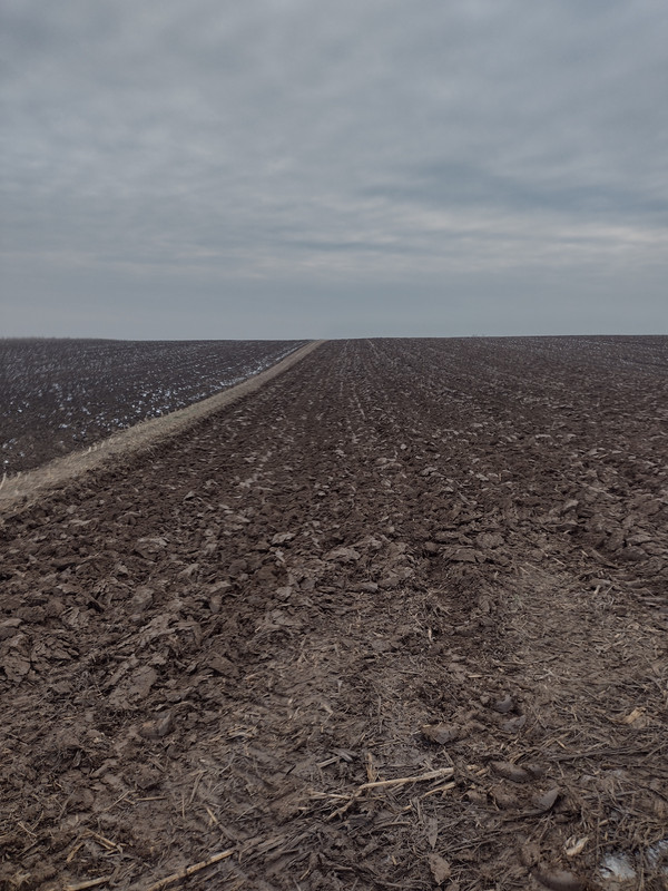 IMG-20221213-141932893-HDR.jpg