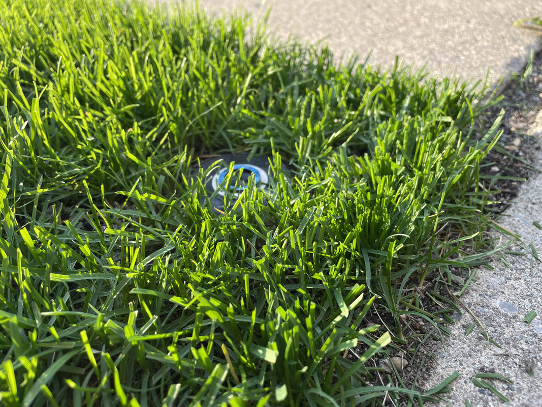 C3EF70C2-4D46-42D7-B6B1-FF2F81B679EA