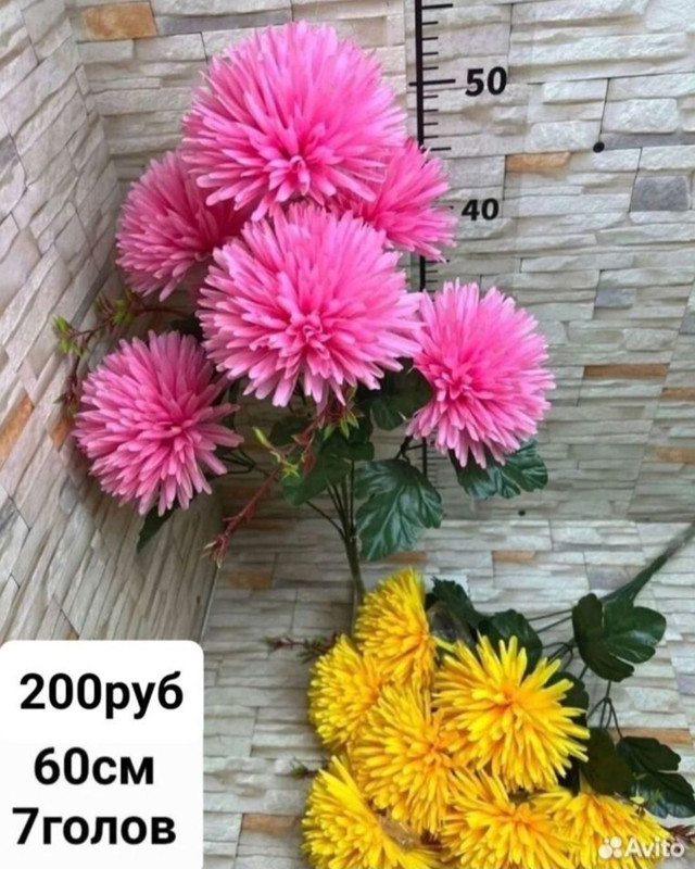 https://i.postimg.cc/xCYJSZzF/IMG-20240409-073625.jpg