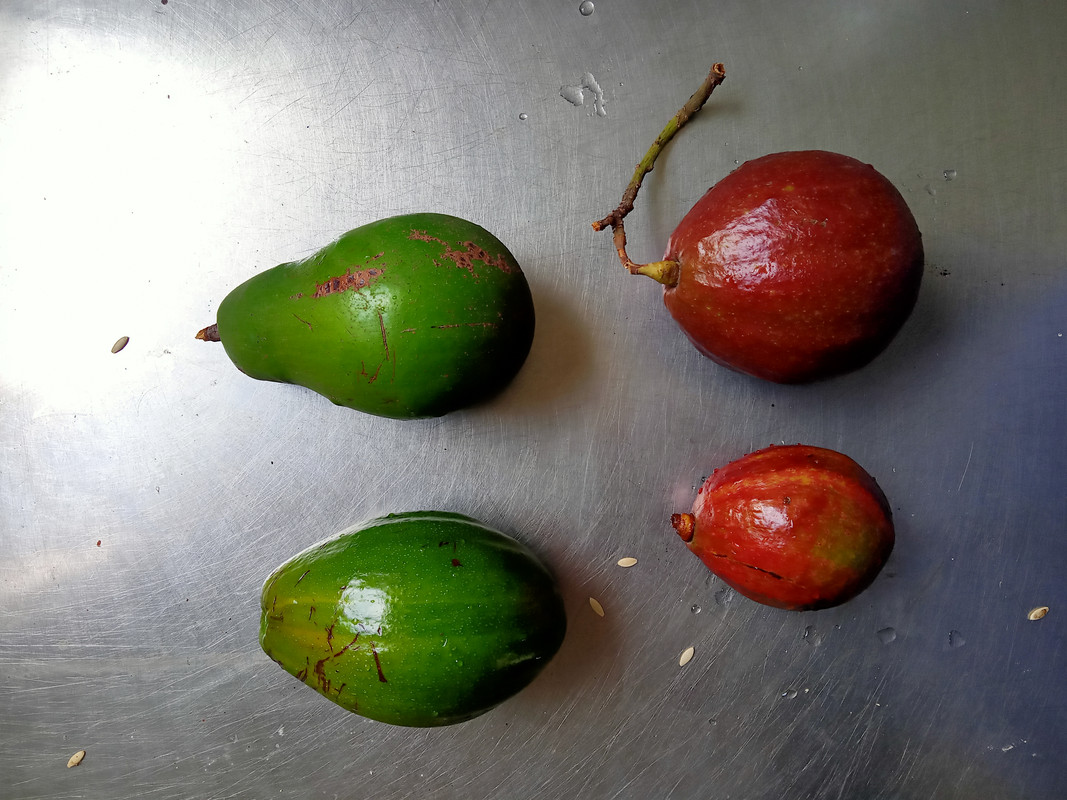 IMG20210826083728_00