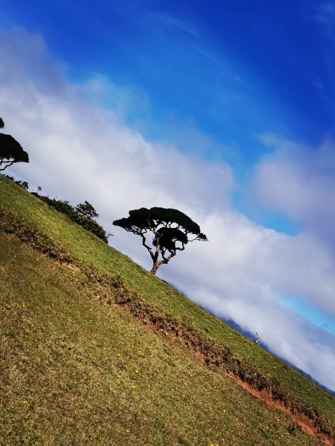 3D7363D4-45F7-4418-8424-7BDC0962E7F8