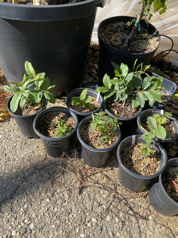 2C2C536F-D0B9-4C08-A5B4-857063605DA2