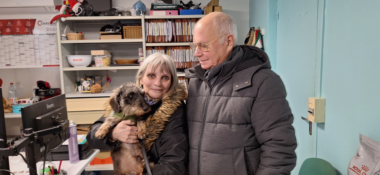 [Image: 20250104-155529.jpg]