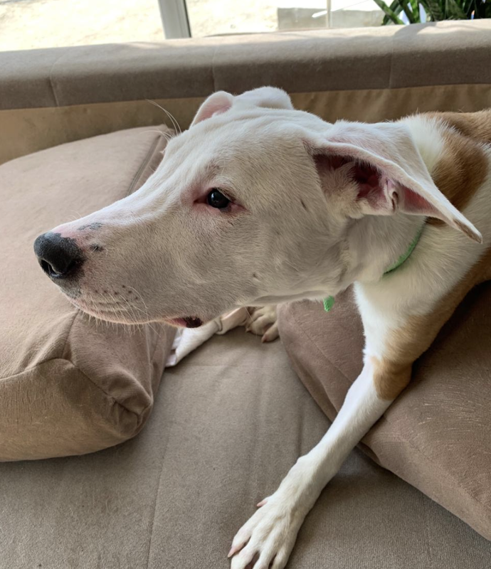 Снимок экрана 2024-04-21 в 18.23.42