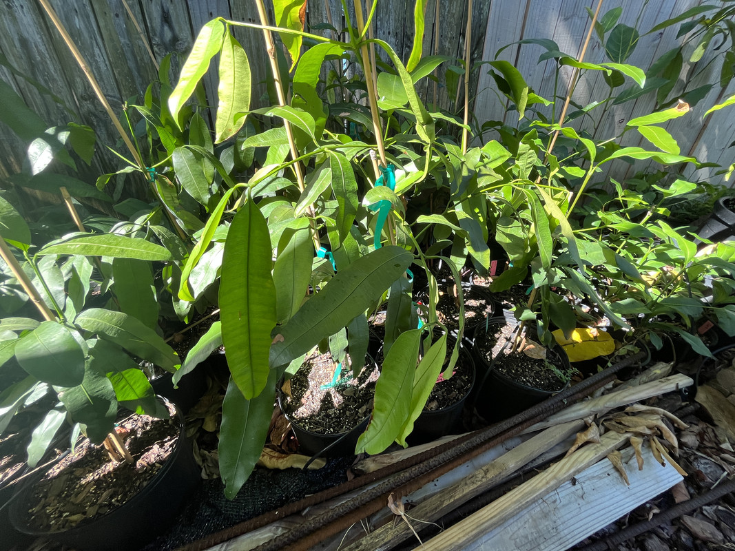 AEF8F87A-E955-4F66-896D-E996D03E136C