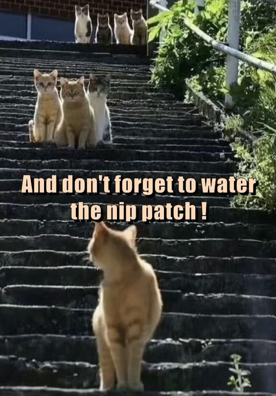 111