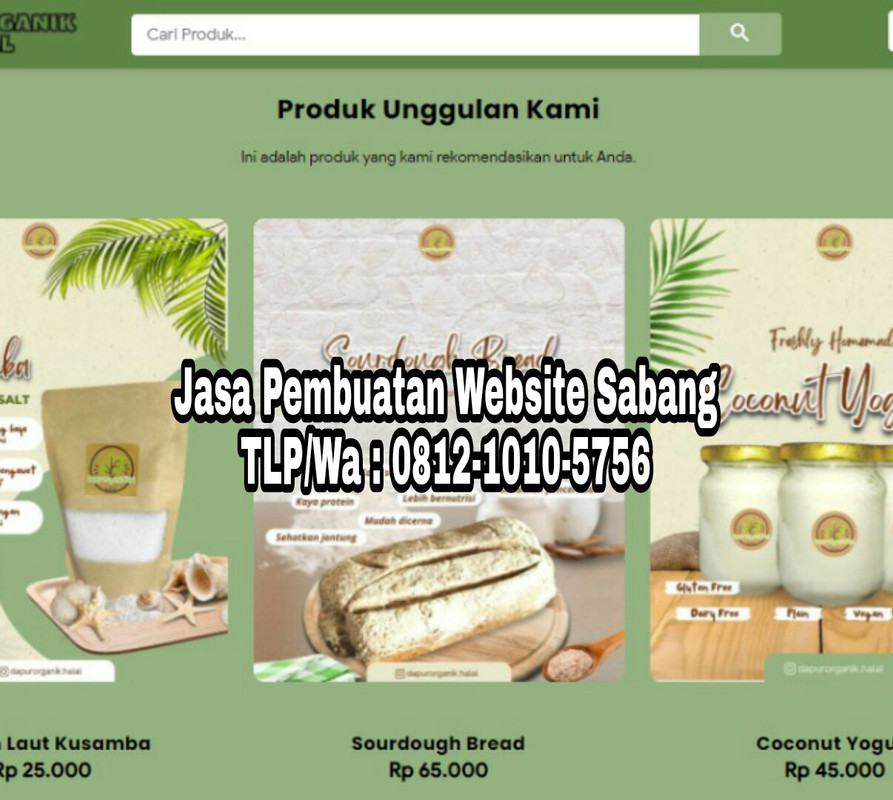 TELP: 0812-1010-5756, Jasa Pembuatan Website Adsense Karimun
