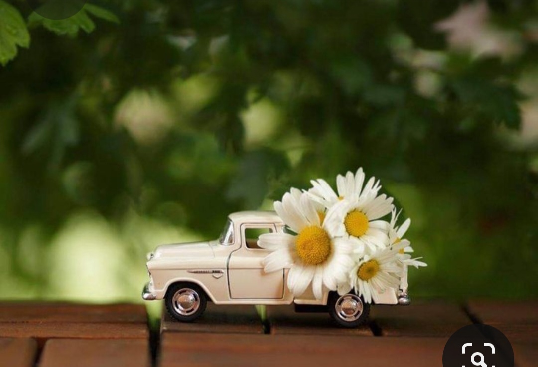 Screenshot_20230616_130614_Pinterest