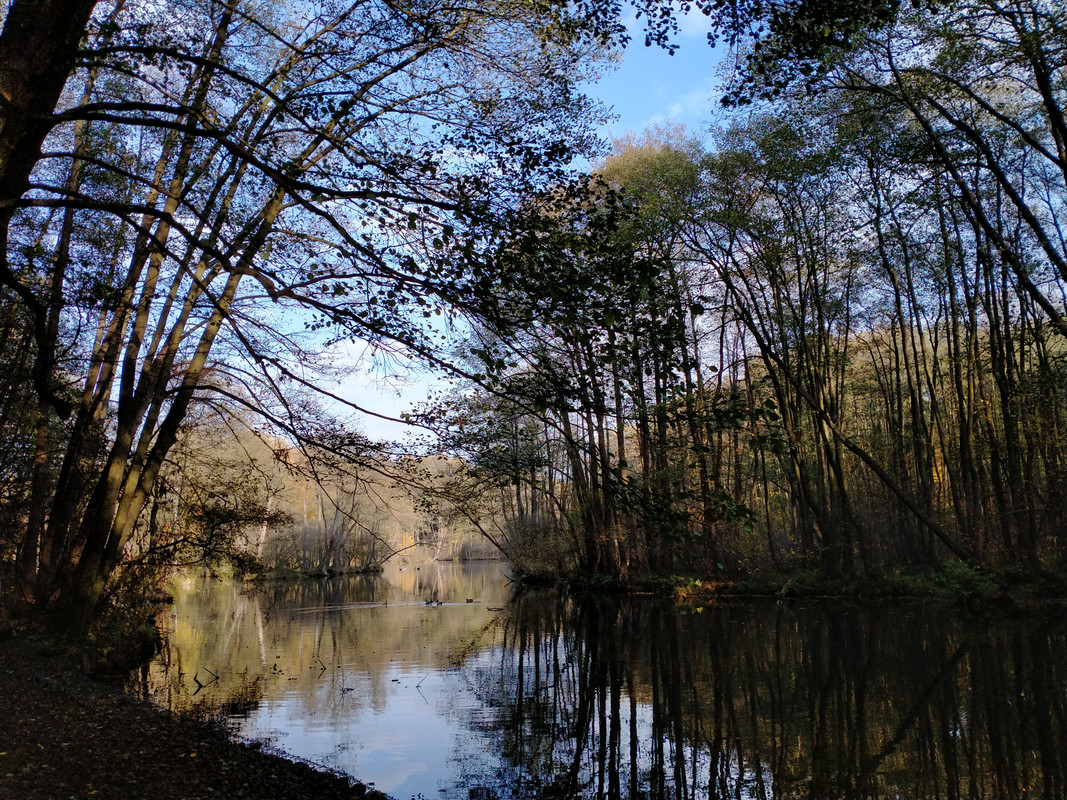 007 - IMG20201028140822