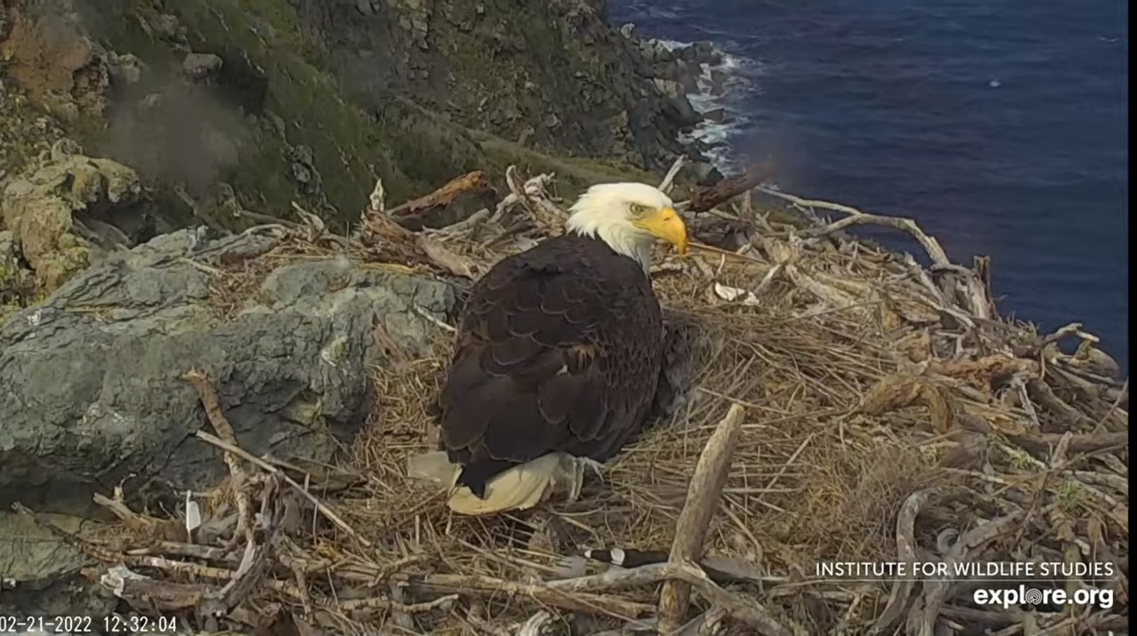 F8DF6250-FD05-4F14-BE31-1A004B53EFE5