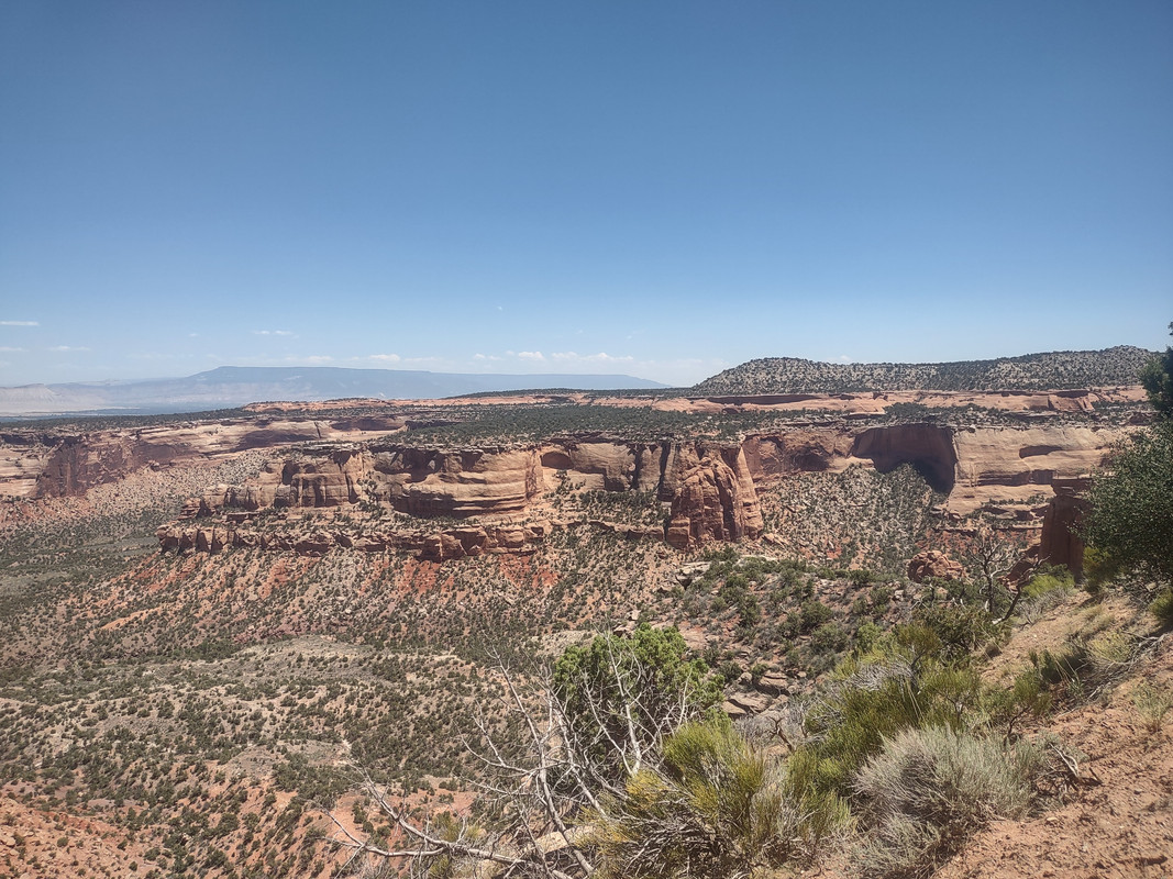 IMG_20250620_135021820_HDR