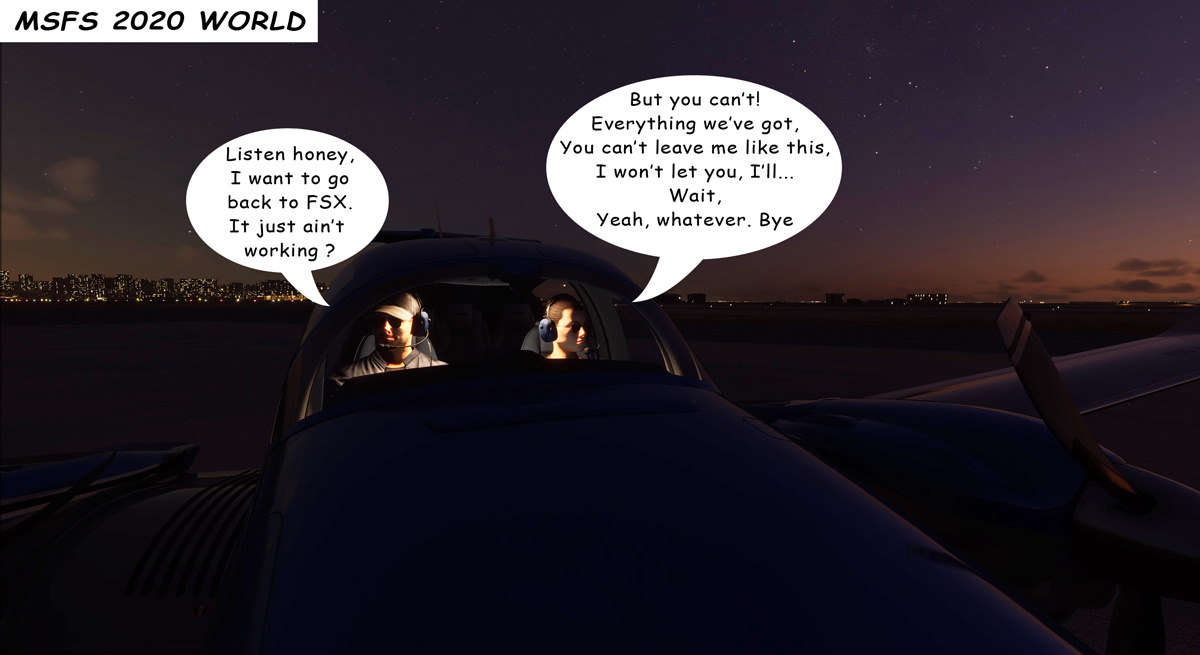 msfs2020world.jpg