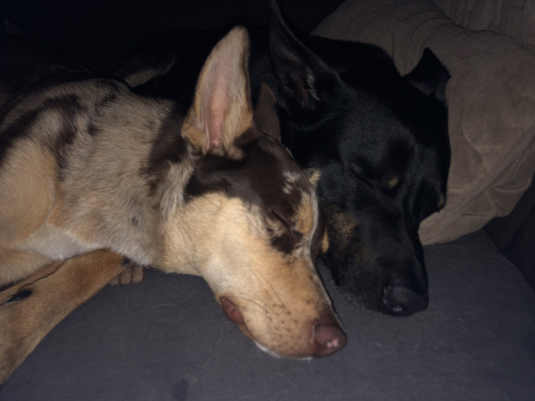 7498779E-2A5B-4E83-9F95-69112E90F79D