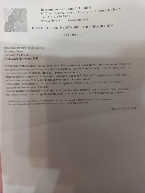 Заключение 22.11.