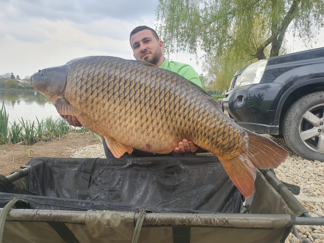 WhatsApp Image 2021-04-19 at 18.28.03 (10)