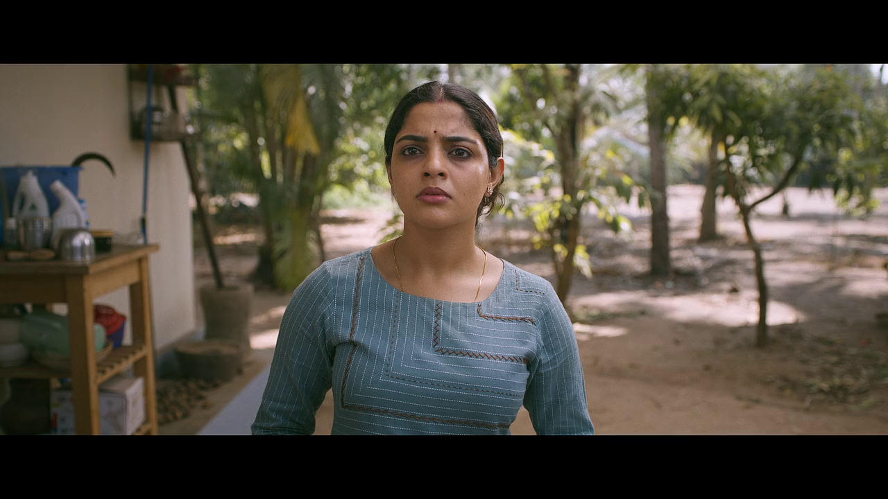 Guruvayoor-Ambalanadayil-2024-Hindi-Multi-WEBRip-720p-x264-AVC-EAC3-6ch-ESub-mkv-0003