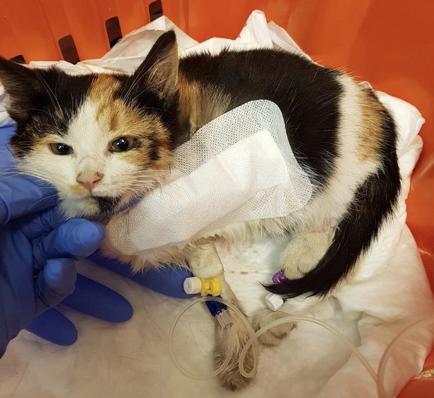 BF9A92A0-4530-42C4-8352-D4CF2FF37580