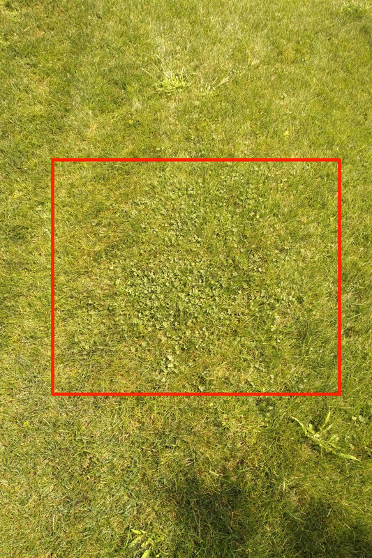 IMG_20180807_1305231