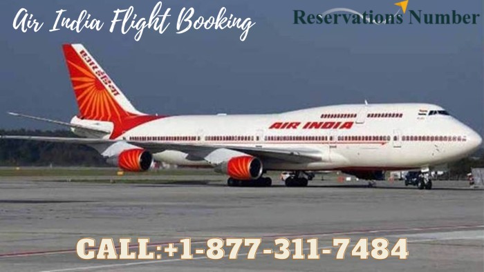 Air India Flight Booking (1)