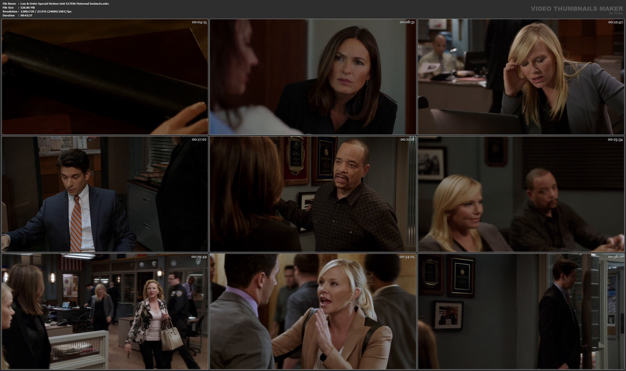 Law & Order Special Victims Unit S17E06 Maternal Instincts.mkv