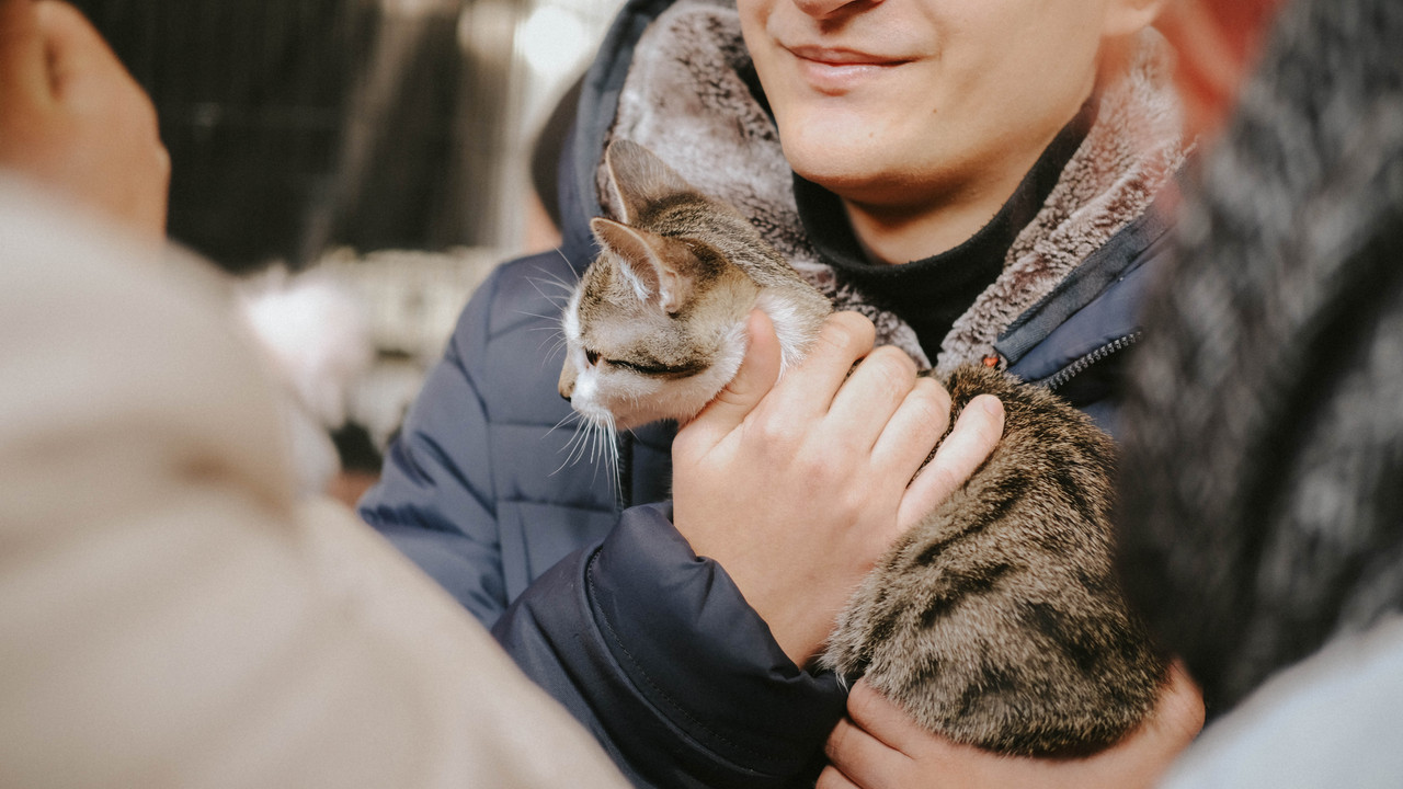 DC416524-FCB4-47DD-9E9E-3124A57FBBE9