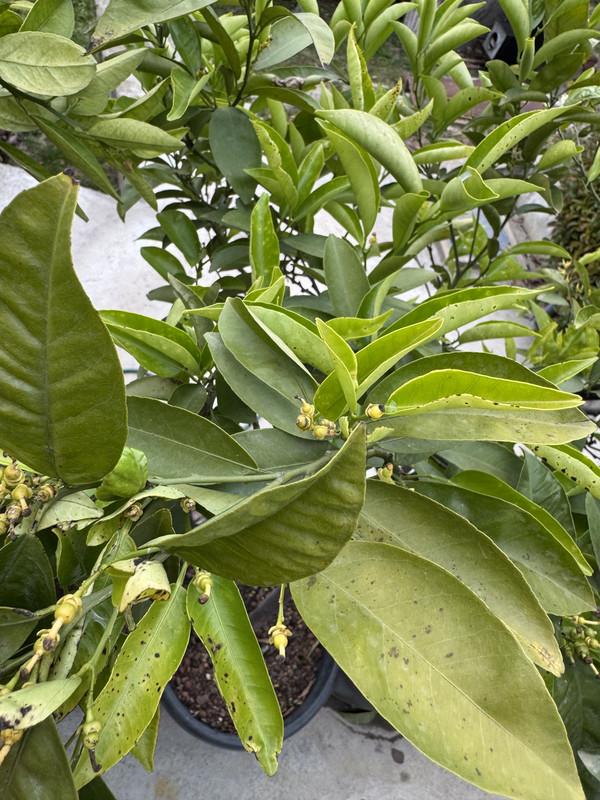 F26413E4-05E4-4972-BC2F-F69BA4E7B3AC