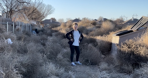 Combs-Tumbleweeds-Julie