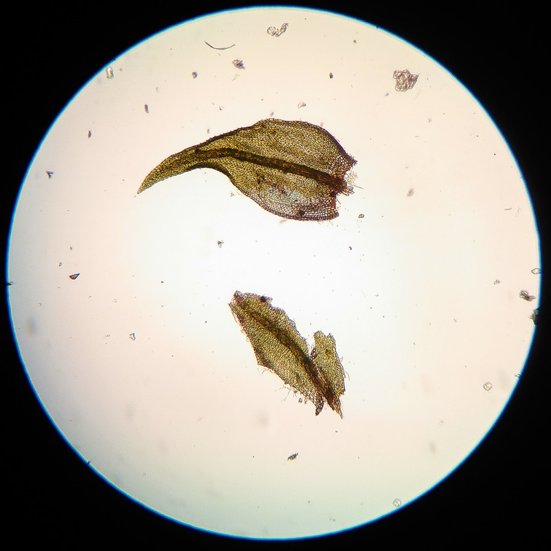 IMG 20250615 220548 HDR